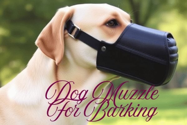 Dog Muzzle for Barking: Top Choices at PetSmart, Walmart, and Pets at Home with Safety Tips and Training Advice