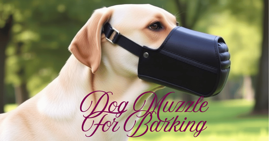 Dog Muzzle for Barking: Top Choices at PetSmart, Walmart, and Pets at Home with Safety Tips and Training Advice